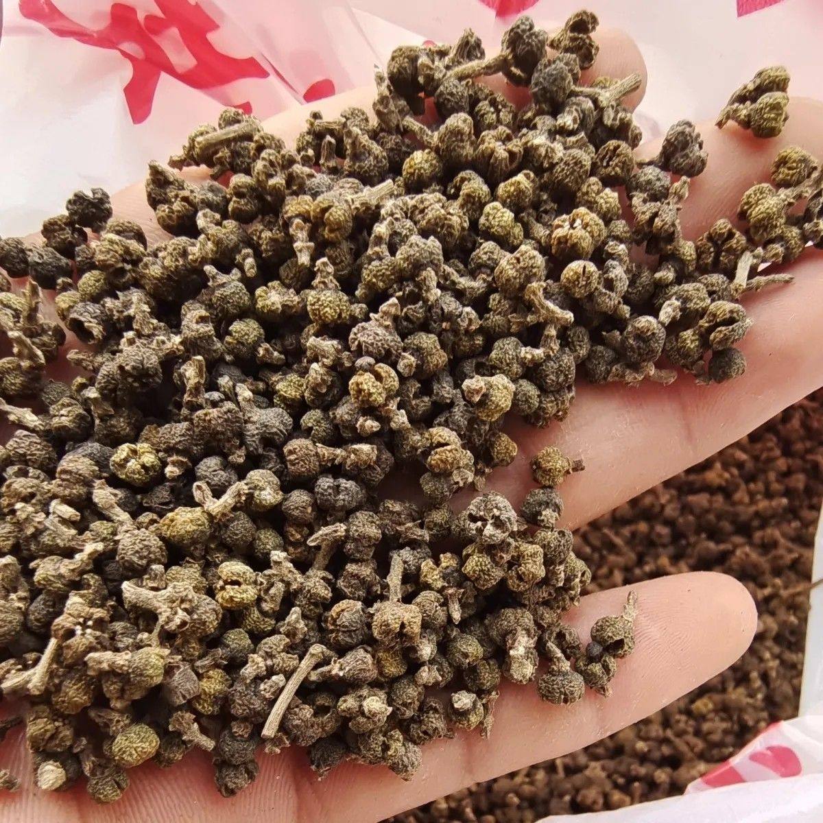 秦岭野生吴茱萸吴萸子正品无硫正宗吴茱萸粉野生吴茱萸包邮