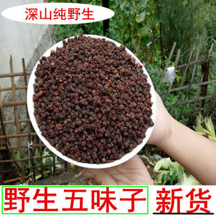 秦岭南五味子野生五味子新货干货名贵中药材南五味子无硫泡水泡酒