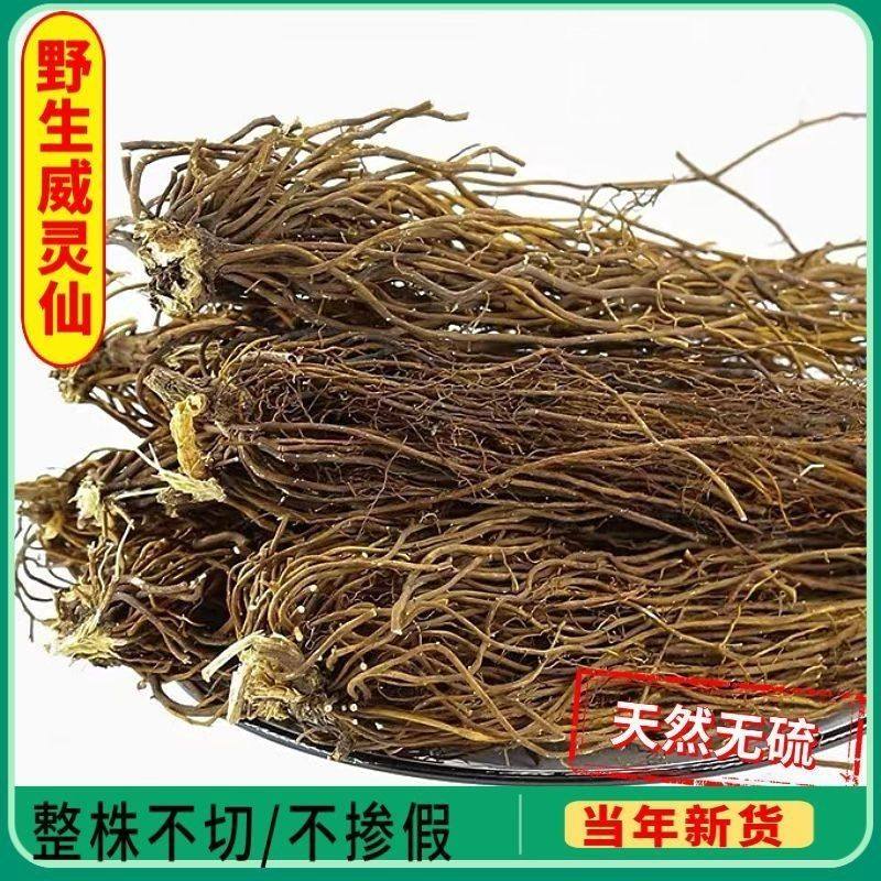 野生威灵仙整株不切老虎须铁扫威灵仙铁线莲根山辣椒根新鲜威仙灵