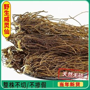 野生威灵仙整株不切老虎须铁扫威灵仙铁线莲根山辣椒根新鲜威仙灵