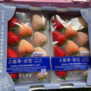 正宗古都华三色草莓士多啤梨日本品种国产草莓淡雪草莓白雪草深圳
