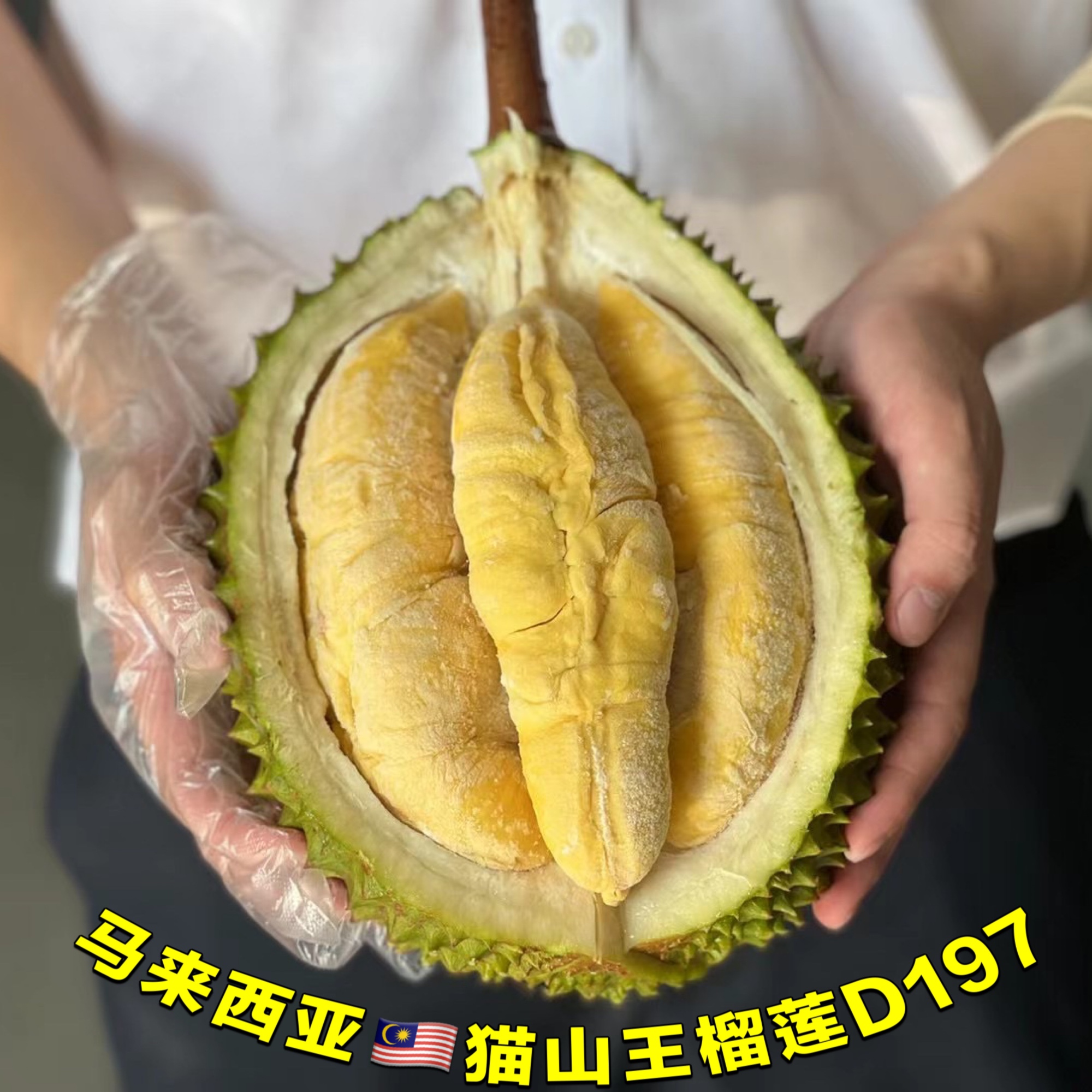 猫山王榴莲D197送礼钻石榴莲整果