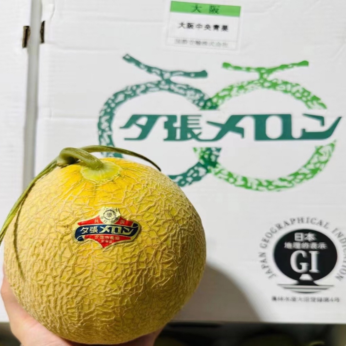 赤肉蜜瓜日本黄肉瓜进口日本水果