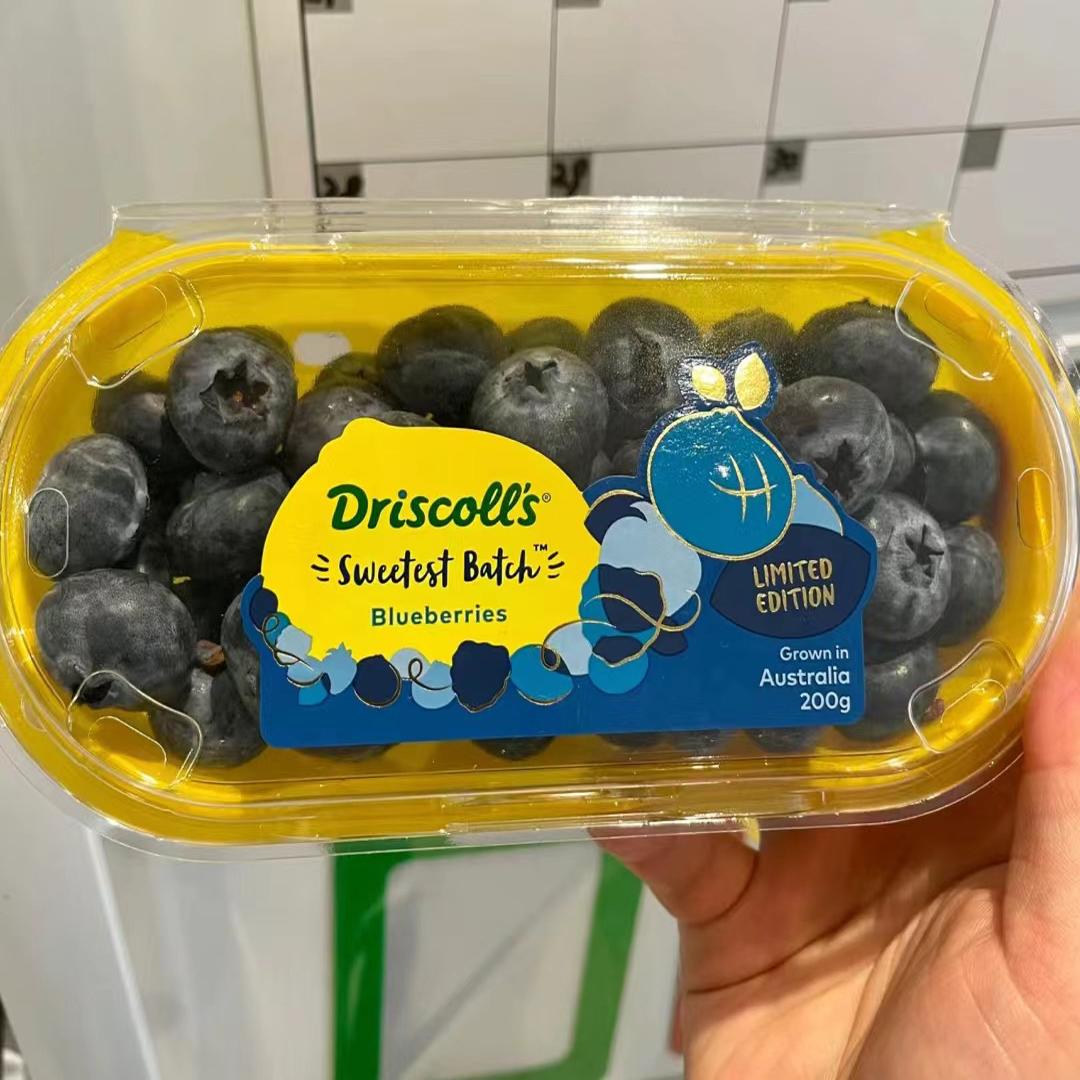 澳洲蓝莓怡颗莓Driscoll's限量版巨无霸SUPERJUMBO礼盒装脆甜新鲜