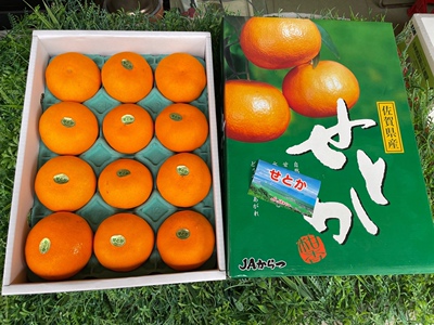 佐贺蜜柑日本蜜桔日本水果蜜橘