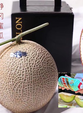 日本甜瓜静冈蜜瓜网纹瓜哈密瓜
