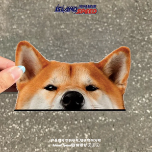 柴犬汽车贴纸可爱动物半头趣味图案车窗后尾门装 饰贴画