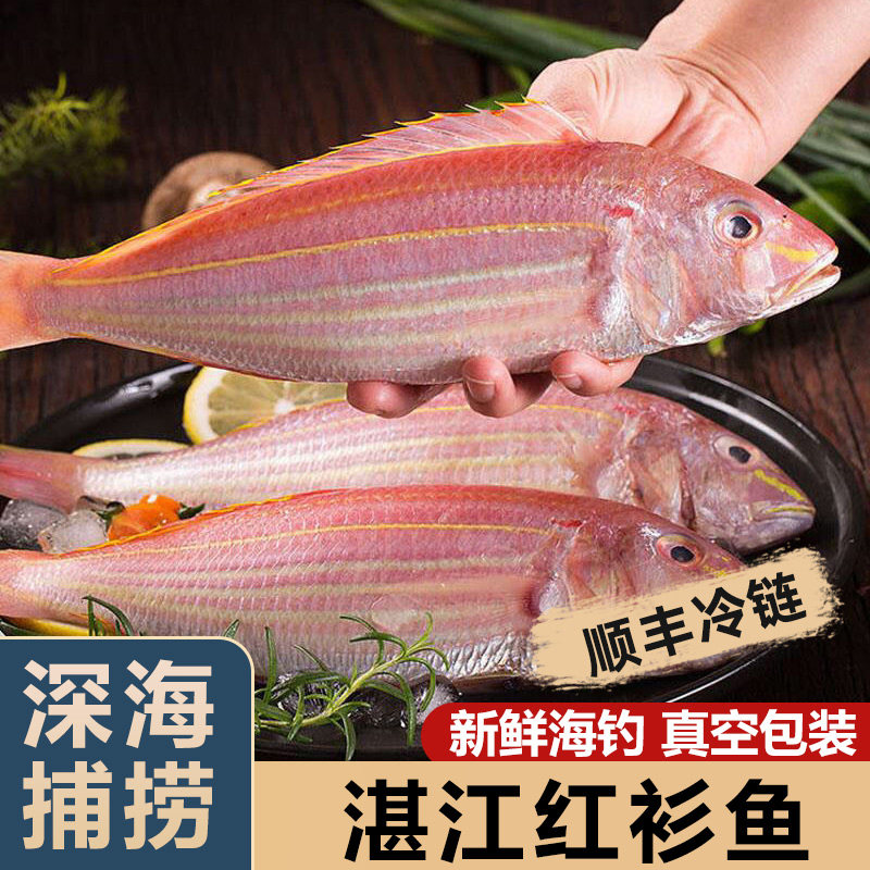 3斤红杉鱼海鱼新鲜海鲜水产深海钓红三鱼非金丝鱼非金线鱼红衫鱼