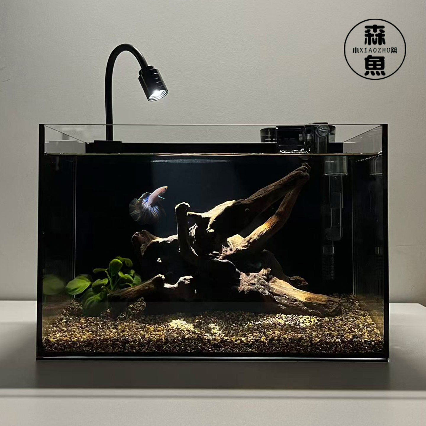 鱼缸客厅小型生态造景全套桌上小鱼缸桌面电视柜免换水超白缸沉木