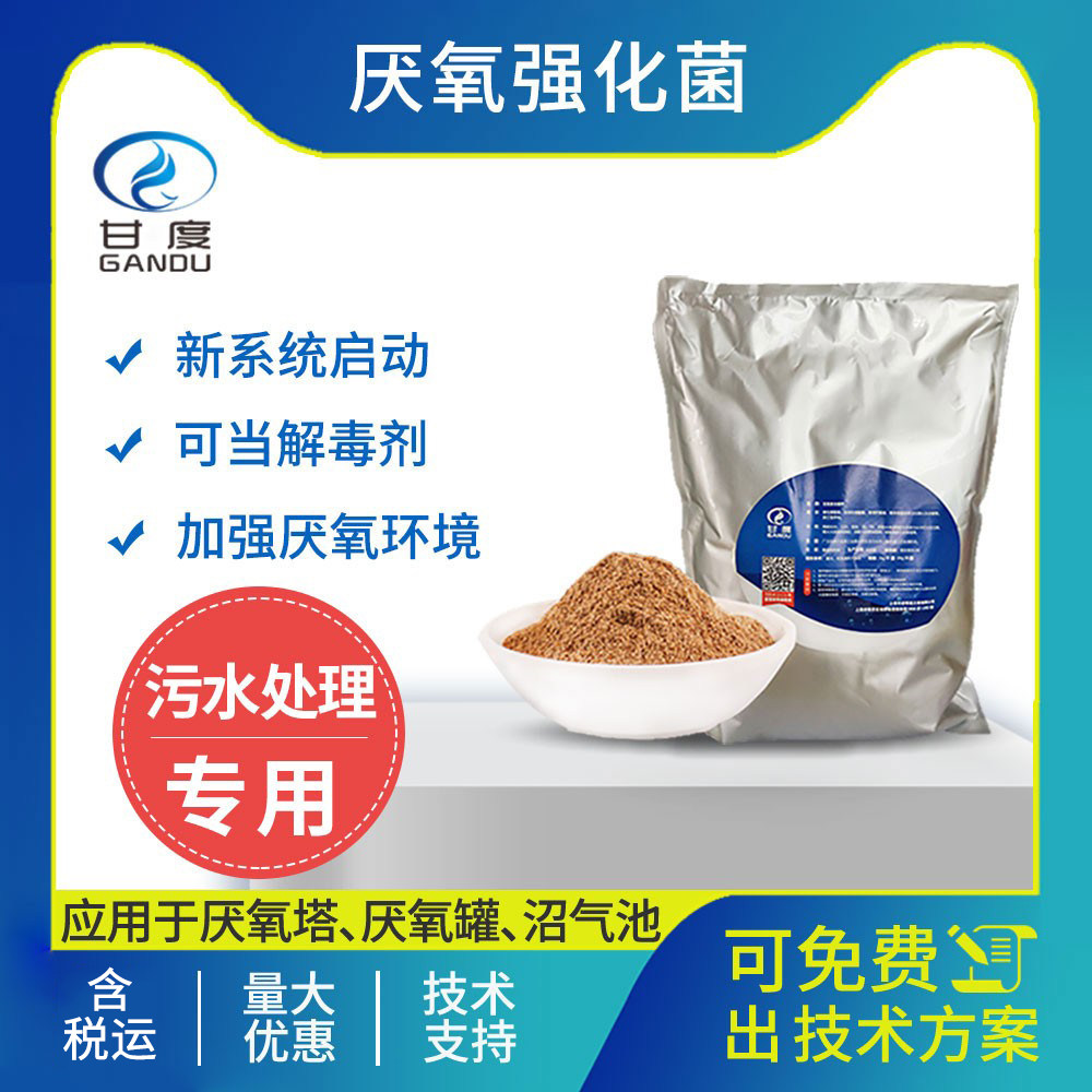 甘度厌氧强化菌种厌氧槽专用菌种提升产气量改善系统污水处理菌种