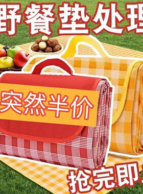 野餐垫户外防潮垫便携春游地垫