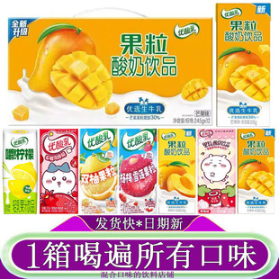 伊利优酸乳芒果果粒酸奶饮品245g*10盒整箱装黄桃草莓石榴马蹄脆