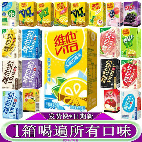 维他冰爽柠檬茶饮料250ml混合口味锡兰苹果芒果汁黑加伦味菊花茶