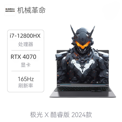 机械革命极光X电竞独显游戏本