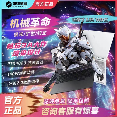 机械革命极光X电竞独显游戏本