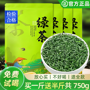 发1.5斤 绿茶毛尖2026新茶春茶浓香型茶叶散装高山云雾炒青茶袋装