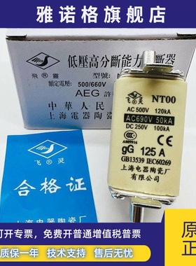 飞灵NT00-gG160A DC250V 690V熔断器熔芯100A80A63A 上海电器陶瓷