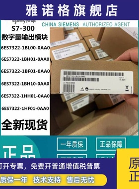 S7 300西门子6ES7322-1BL00/1BH01/1BF01/1BH10/1HH01/1HF01-0AA0