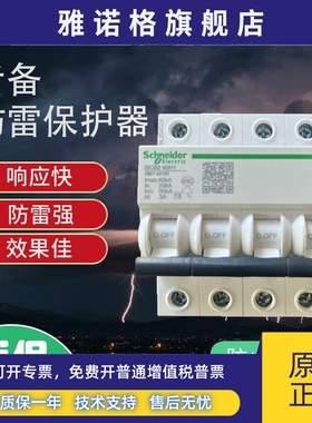 施耐德防雷浪涌专用后备保护器ISCB240H1/2电涌保护ISCB1 25L2/L1