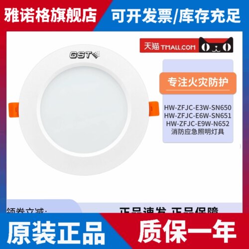 海湾嵌顶灯疏散照明灯SN650 SN651 N652集电集控消防应急照明灯具