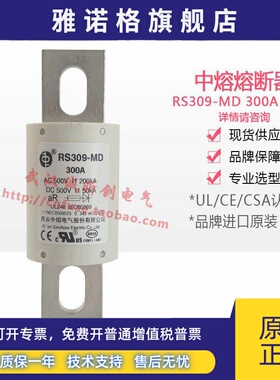 中熔保险丝RS309-MD 40A50A60A70A80A100A125A150A200A500V熔断器