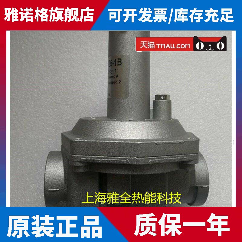 意大利集卡燃气调压阀 减压阀过滤器RG015HC-1B RG020/25HC-1B