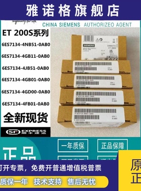 6ES7134-4NB51/4GB11/4JB51/4GB01/4GD00/4FB01-0AB0 西门子 模块