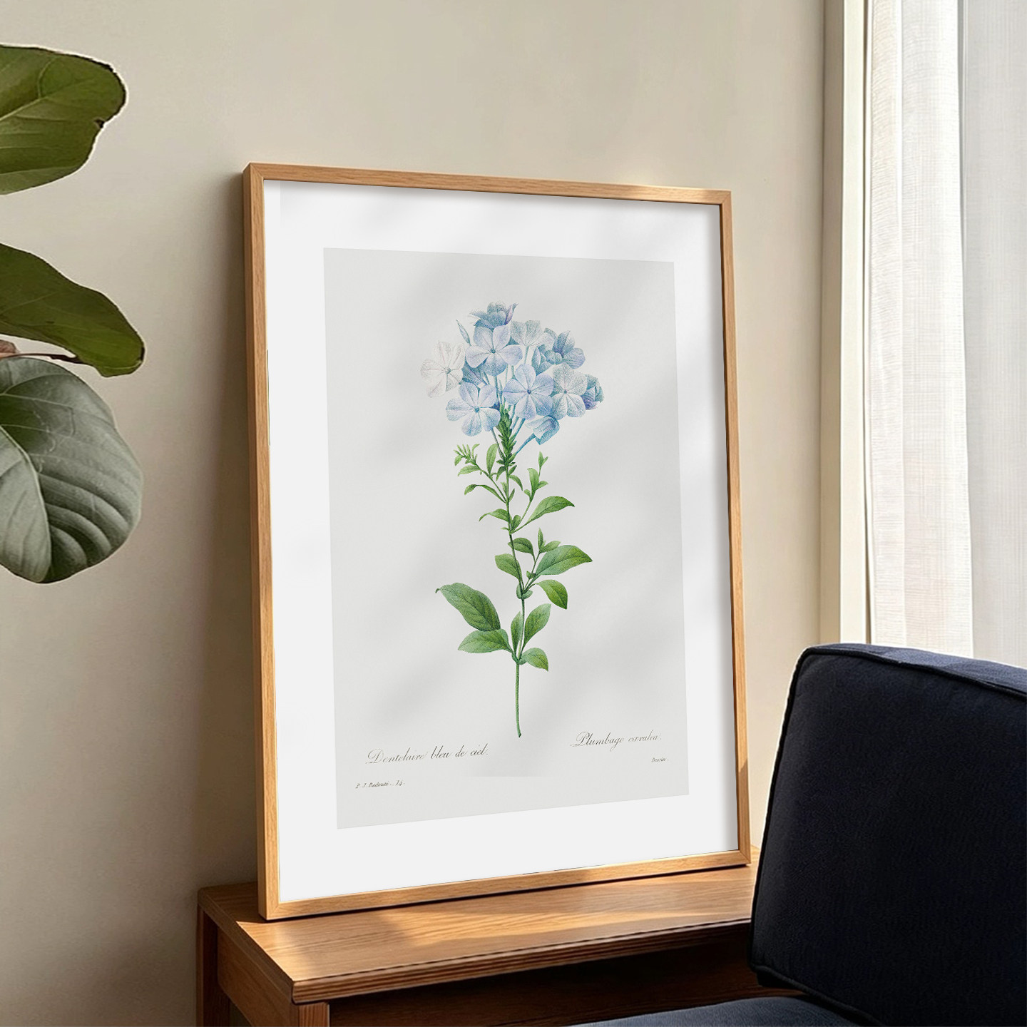 蓝雪花植物挂画|清新治愈风|木框