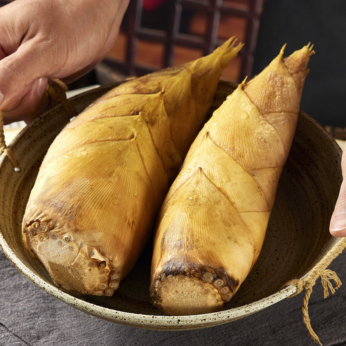 浙江冬笋2025新鲜现挖现发