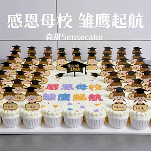 中考高考毕业季博士帽纸杯蛋糕装饰插件前程似锦未来可期甜品插牌
