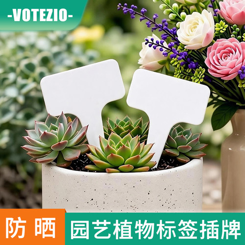 植物标签插牌盆栽多肉标识花卉绿植标签园艺T型小标签牌记号卡