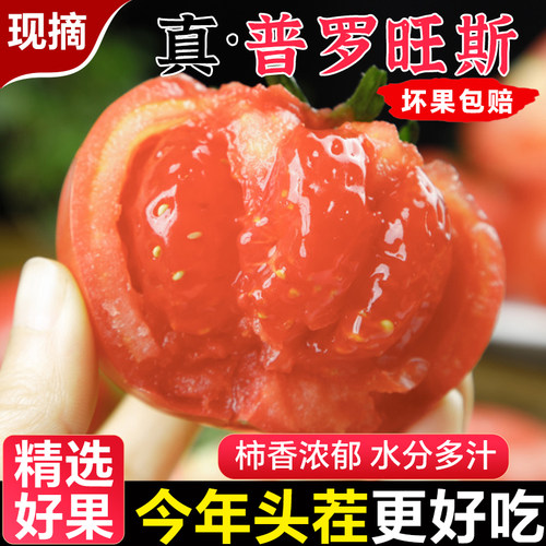 正宗陕西普罗旺斯西红柿5斤新鲜蔬菜水果当季自然熟沙瓤生吃番茄