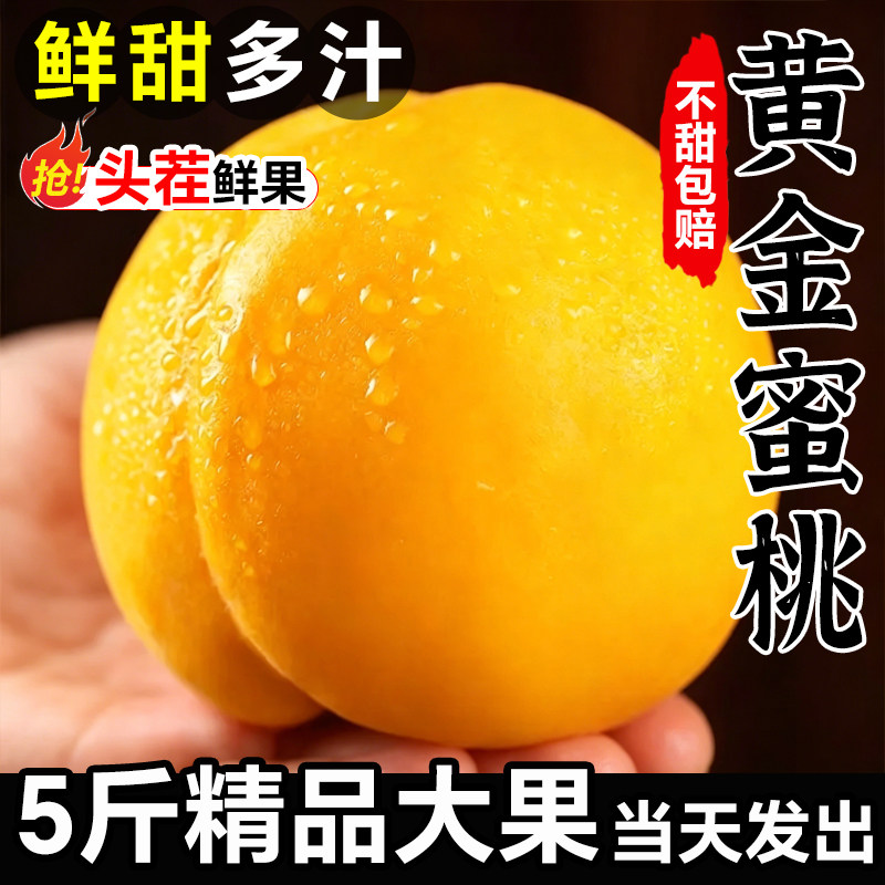 黄桃新鲜桃子水果5斤时令黄金蜜桃当季整箱现摘蒙阴黄肉蜜桃