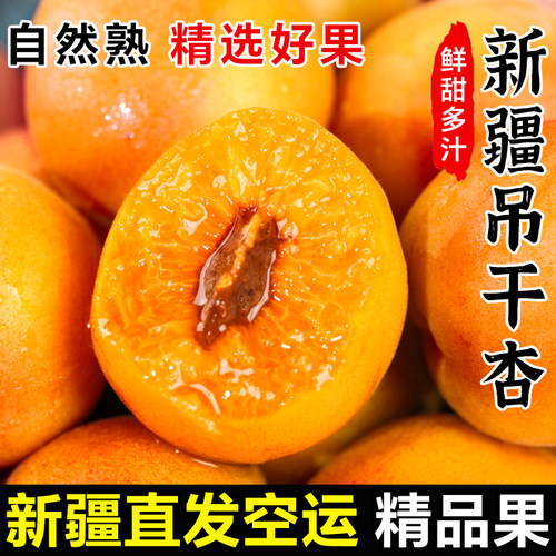 新疆吊干杏小红杏子新鲜水果