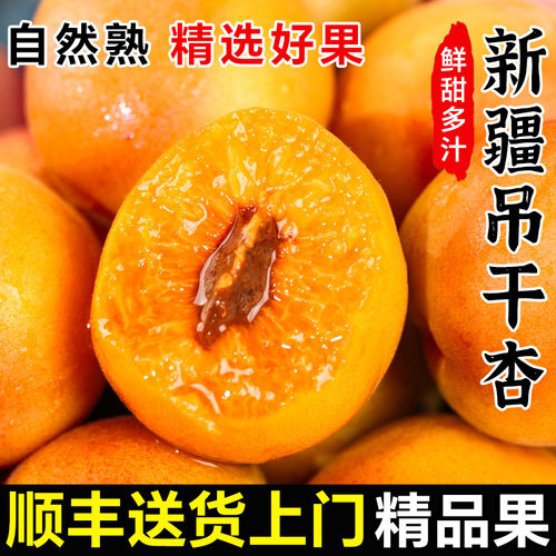 新疆吊干杏小红杏子新鲜水果