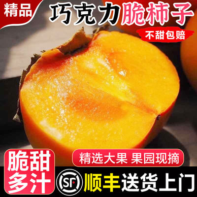 巧克力脆柿子甜柿子5/10斤新鲜水果当季整箱顺丰包邮火晶黄硬柿子