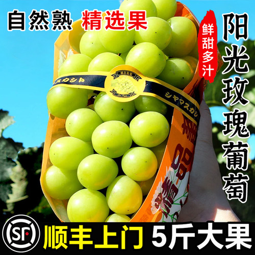 阳光玫瑰葡萄顺丰上门