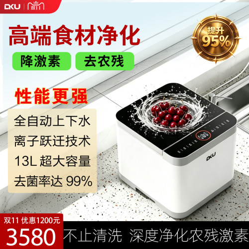 德国DKU果蔬清洗机去农残降激素