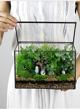 微型雨林缸微景观玻璃花房花瓶混批多肉肉肉植物器皿欧美工艺