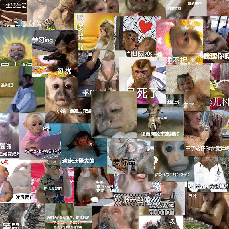 70张吗喽表情包贴纸搞笑