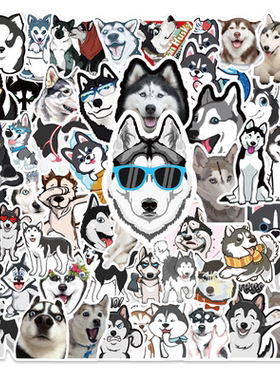 呆萌宠物涂鸦贴纸保温杯电脑防水