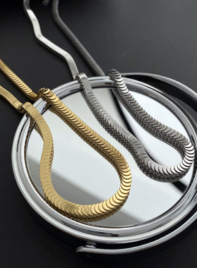 欧美钛钢首饰品鱼鳞鳞片链欧美网红饰品女项链轻奢百搭简约锁骨链