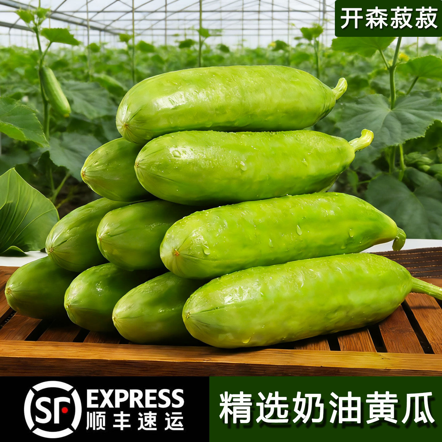 【顺丰快递】新鲜现摘奶油小黄瓜清脆爽口无刺水果黄瓜山东寿光