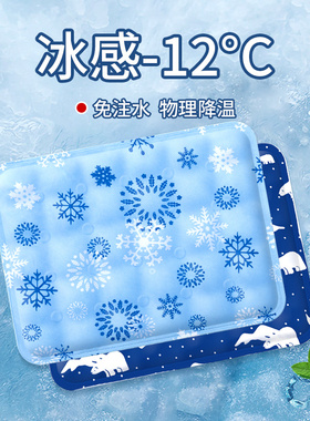 冰垫坐垫学生教室夏天冰凉坐垫免注水降温夏季冰袋汽车水垫冰凉枕