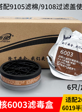 南核6003 P-A-1滤毒盒防毒面具罩配套滤盒芯防有机酸碱氨气毒油漆