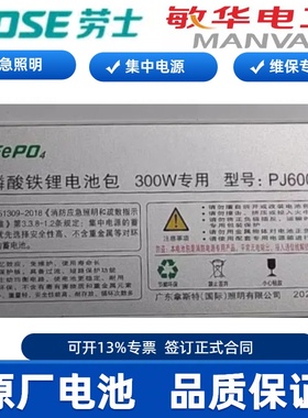 敏华劳士应急照明集中电源300W专用电池包拿斯特原装电池PJ60096A