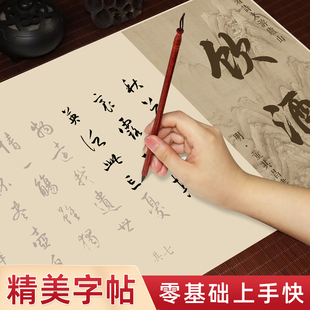 行书字帖描红毛笔成人练字董其昌赵孟頫苏轼毛笔书法桃花源记归去来兮辞题西林壁望庐山瀑布饮酒行书入门字帖