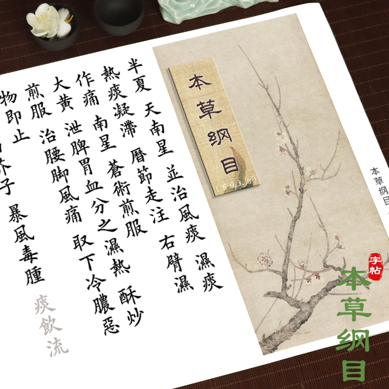 本草纲目欧体楷书临摹字帖长卷