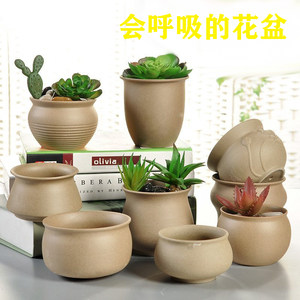 多肉植物花盆diy价格 多肉植物花盆diy图片 星期三