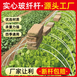 小拱棚支架菜棚保温棚玻璃纤维农用蔬菜温室养殖骨架豆角搭架杆子
